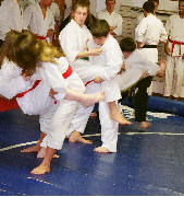 Jujitsu